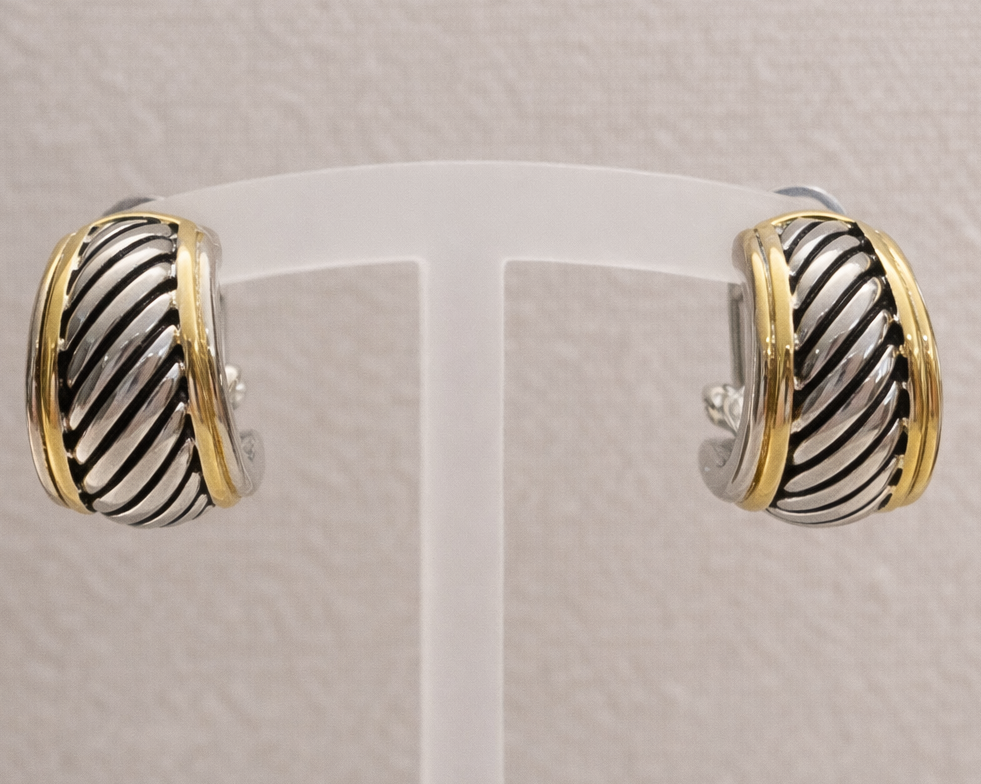 Earrings Cable Bicolor Classic